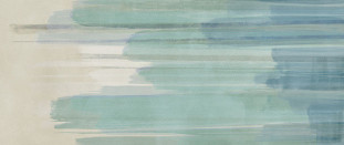 Atlas Concorde Prism Brush 50x120