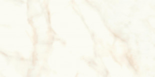 Atlas Concorde Marvel Shine Marvel Calacatta Delicato 30x60 Silk