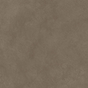 Atlas Concorde Boost Natural Umber 60x60