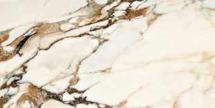 Neodom Ambassador Calacatta Venato Glossy 60x120