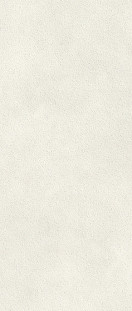 Atlas Concorde Boost Expression Grain Glow Matte 10 mm 50х120