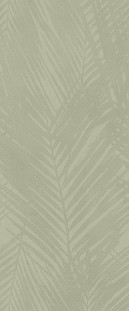 Atlas Concorde Boost Expression Life Olive Matte 8,5 mm 50х120