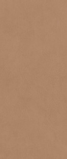 Atlas Concorde Boost Expression Sienna Matte 8,5 mm 50х120