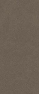 Atlas Concorde Boost Natural Pro Coffee Matte 50х120