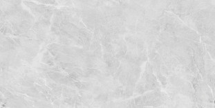 Neodom Ambassador Belvedere 60x120 Eva Grey Polished 60x120
