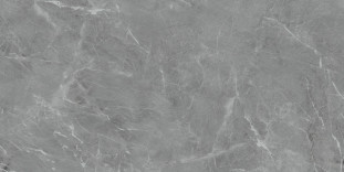 Neodom Ambassador Belvedere 60x120 Eva Gris Polished 60x120