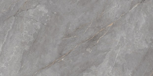 Neodom Ambassador Belvedere 60x120 Orobico Grey Polished 60x120