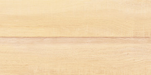 AltaCera Briole Wood WT9BRE11 настенная 24.9х50