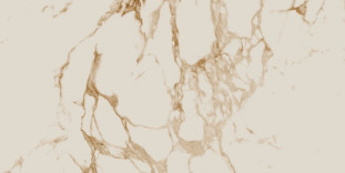 APE Ceramica Calacatta Gold Pol. Rect. 60x120