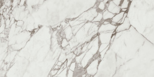 APE Ceramica Calacatta Silver Pol. Rect. 60x120