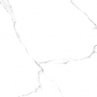 Alma Ceramica Carrara Alma GFU04CRR00R 60x60