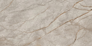 Atlas Concorde Russia Empire Silver Root 60x120