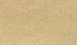 Venezia Stone Мрамор Jerusalem Beige Leather 20Mm