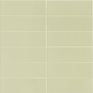Mainzu Jungle Mint 10x30