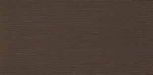 Atlas Concorde Brilliant Chocolat 40x80