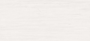 Atlas Concorde Marvel Stone Bianco Dolomite 50x110