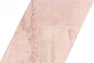 APE Ceramica Snap Ромб Rombo Pink 15x29,5