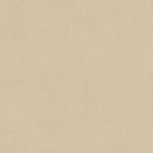 Atlas Concorde Boost Natural Pro 120х120 см Sand Matte 9 mm