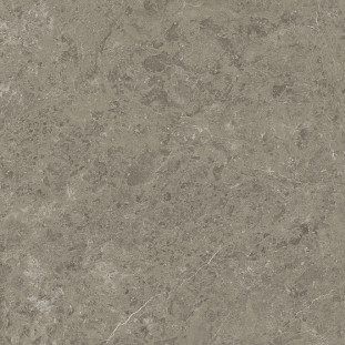 Atlas Concorde Marvel Meraviglia 120х120 см MERAVIGLIA Grigio Elegante Lappato 9 mm
