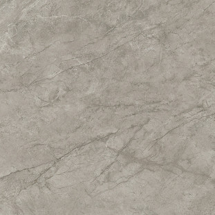 Atlas Concorde Marvel Meraviglia 120х120 см MERAVIGLIA Silver Majestic Lappato 9 mm