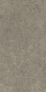 Atlas Concorde Marvel Meraviglia 120х240 см MERAVIGLIA Grigio Elegante Lappato 9 mm