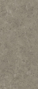 Atlas Concorde Marvel Meraviglia 120х278 см MERAVIGLIA Grigio Elegante Lappato 6 mm
