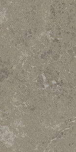 Atlas Concorde Marvel Meraviglia 30х60 см MERAVIGLIA Grigio Elegante Lappato 9 mm