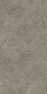 Atlas Concorde Marvel Meraviglia 60х120 см MERAVIGLIA Grigio Elegante Lappato 9 mm