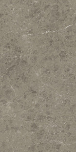 Atlas Concorde Marvel Meraviglia 60х120 см MERAVIGLIA Grigio Elegante Matt 9 mm