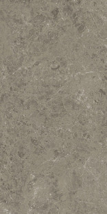 Atlas Concorde Marvel Meraviglia 60х120 см MERAVIGLIA Grigio Elegante Velvet 9 mm