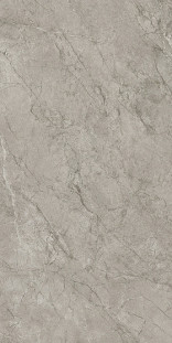 Atlas Concorde Marvel Meraviglia 60х120 см MERAVIGLIA Silver Majestic Lappato 9 mm