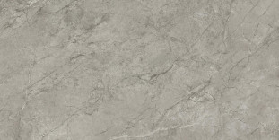Atlas Concorde Marvel Meraviglia 60х120 см MERAVIGLIA Silver Majestic Velvet 9 mm