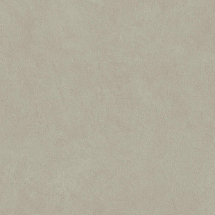 Atlas Concorde Boost Natural Pro Керамогранит 60х60 см Dove Matte 9 mm