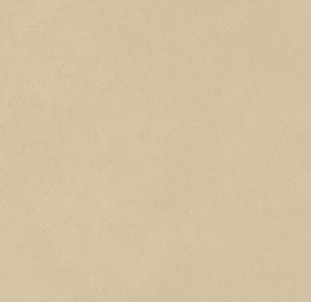 Atlas Concorde Boost Natural Pro 60х60 см Sand Matte 9 mm