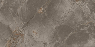 Atlas Concorde Russia Allure 610010001851 Grey Beauty/Аллюр Грей Бьюти 60х120