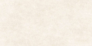 Alma Ceramica Berlin Матовый 04R 120x60