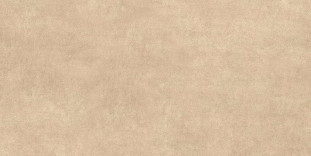 Alma Ceramica Berlin Матовый 80R 120x60