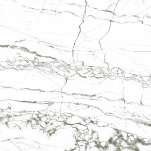 Alma Ceramica Portoro Керамогранит   57x57 Белый