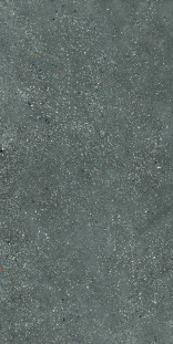 APE Ceramica Ama Rect. Graphite 60х120 матовый универсальный