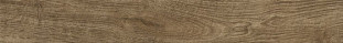 Atlas Concorde Arbor Cognac 15x90