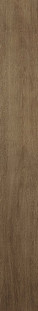 Atlas Concorde Arbor Cognac Ret. 18,5x150