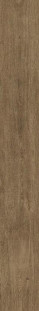 Atlas Concorde Arbor Cognac Ret. 30x240
