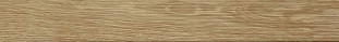 Atlas Concorde Arbor Natural 15x90