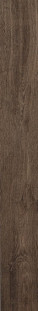 Atlas Concorde Arbor Tobacco Ret. 18,5x150