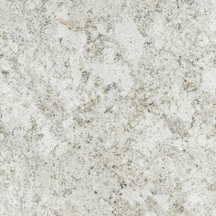 Atlas Concorde Russia Forte Dei Marmi Quark Brazilian White Rett 80x80