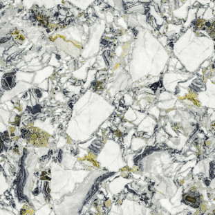 Atlas Concorde Russia Forte Dei Marmi Quark Ceppo Apuano Forest 80x80 Lapp