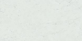 Atlas Concorde Marvel Stone Marvel Carrara Pure 120x240 Lappato
