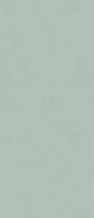 Atlas Concorde Boost Color Jade 120x278 6 mm Italy матовый универсальный