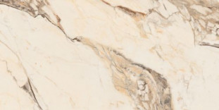 Neodom Splendida Calacatta Gold Glossy 60x120
