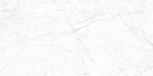 Neodom Splendida Carrara Bianco Glossy 60x120